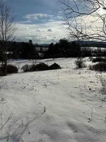 $115,000 | Houck Drive, Bainbridge, NY 13733