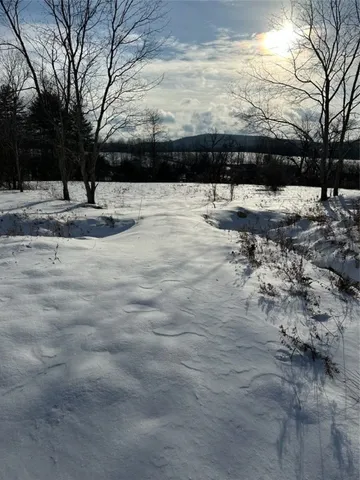 $115,000 | Houck Drive, Bainbridge, NY 13733