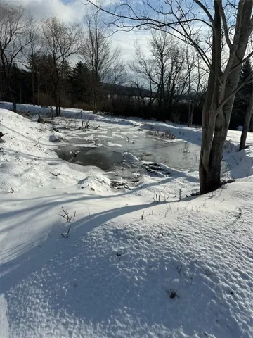 $115,000 | Houck Drive, Bainbridge, NY 13733