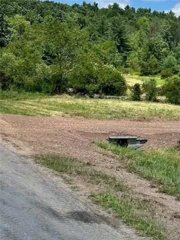 $115,000 | Houck Drive, Bainbridge, NY 13733