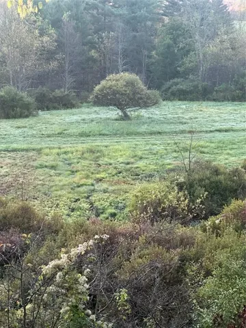 $115,000 | Houck Drive, Bainbridge, NY 13733