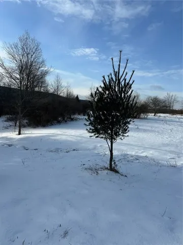 $115,000 | Houck Drive, Bainbridge, NY 13733