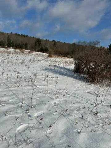 $115,000 | Houck Drive, Bainbridge, NY 13733