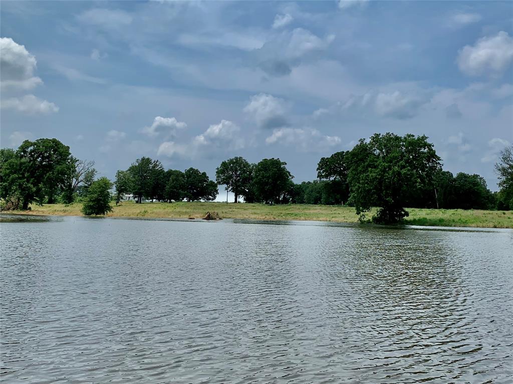 Lot 6 Fm 900 Saltillo, TX 75478 - Photo 11 of 15 a view of a swimming pool and a yard
