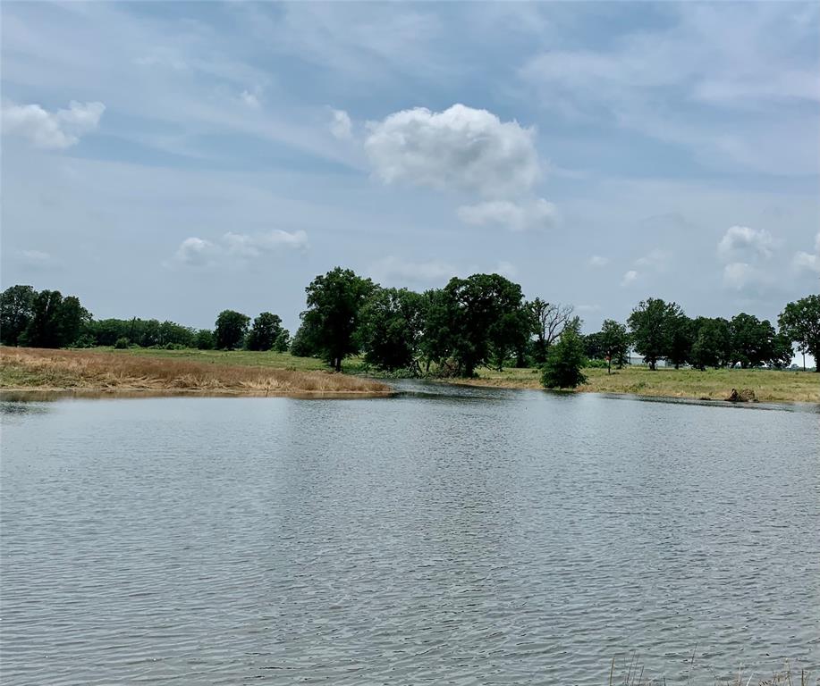 Lot 6 Fm 900 Saltillo, TX 75478 - Photo 10 of 15 a view of an swimming pool and a yard
