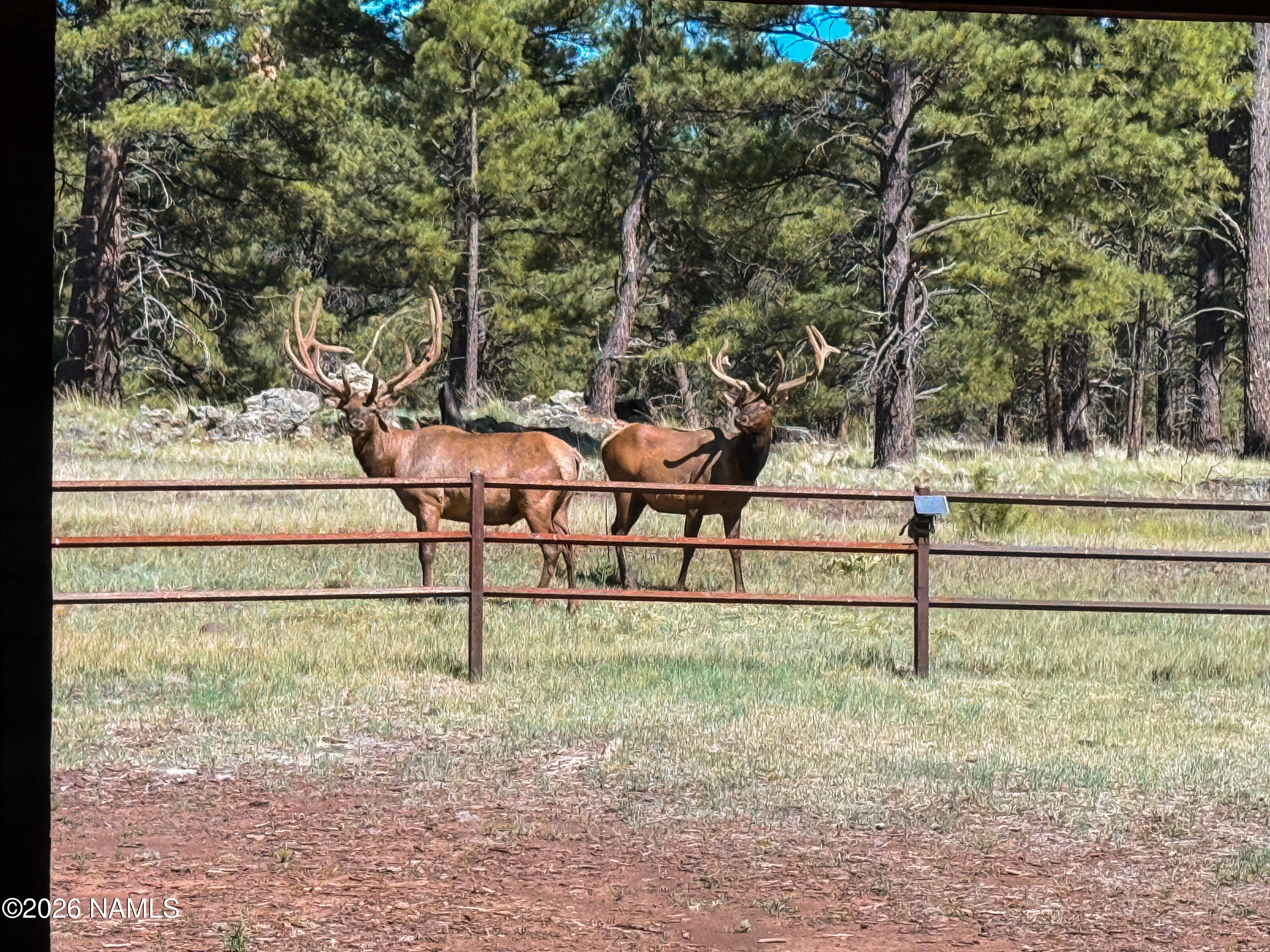 4960 Forest Ranches Loop Parks, AZ 86018 - Photo 31 of 51 29b