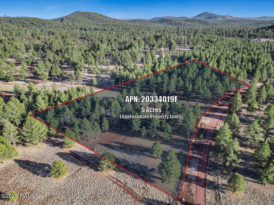 4960 Forest Ranches Loop Parks, AZ 86018 - Photo 47 of 51 45-web-or-mls-TimberCreekImagery-2++