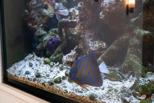 $2,400,000 | 5511 Mendota Drive, Middleton, WI 53562