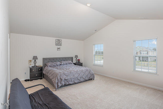 7629 Sand Pit Road Stantonsburg, NC 27883 - Photo 16 of 36 017_bc4a3752-edit_580