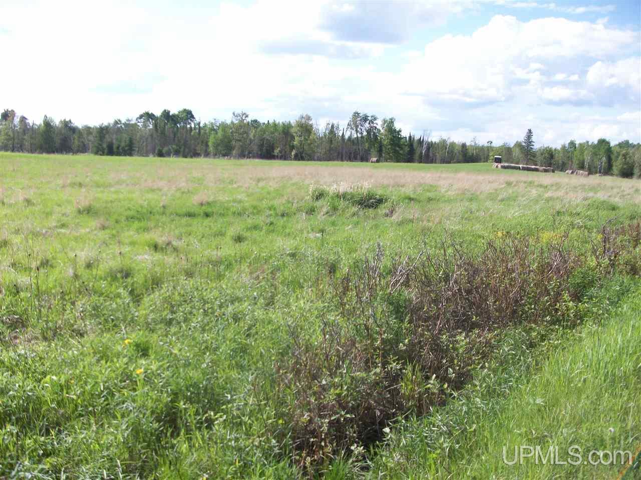 Tbd Co Rd 426 & River Road Cornell, MI 49818 - Photo 2 of 15