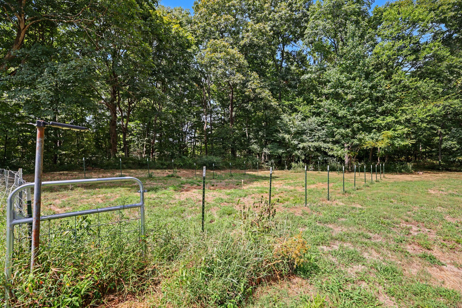 1000 Charlie Reed Road Chapmansboro, TN 37035 - Photo 55 of 77 Gallery Image 55