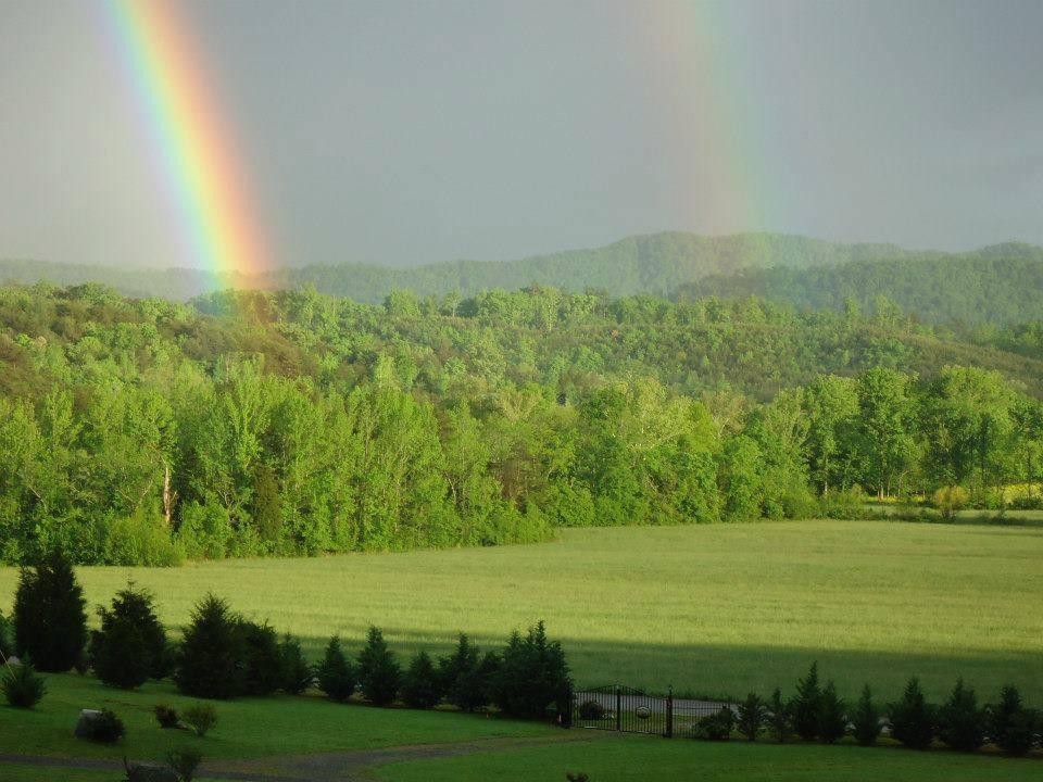 217 Antioch Road Vonore, TN 37885 - Photo 23 of 31 Gallery Image 23