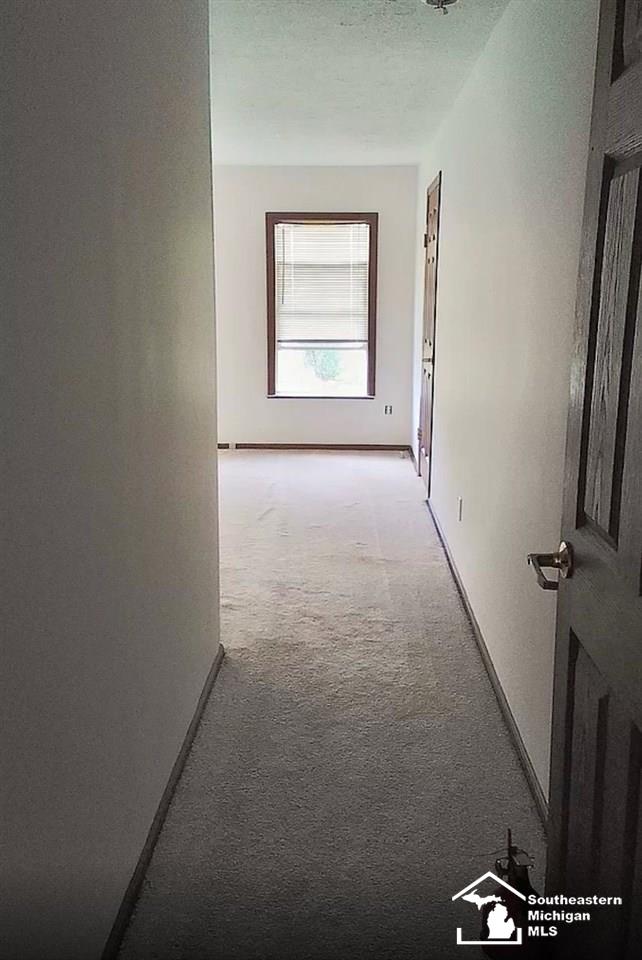 19559 Maplegrove Road Gibraltar, MI 48173 - Photo 19 of 30