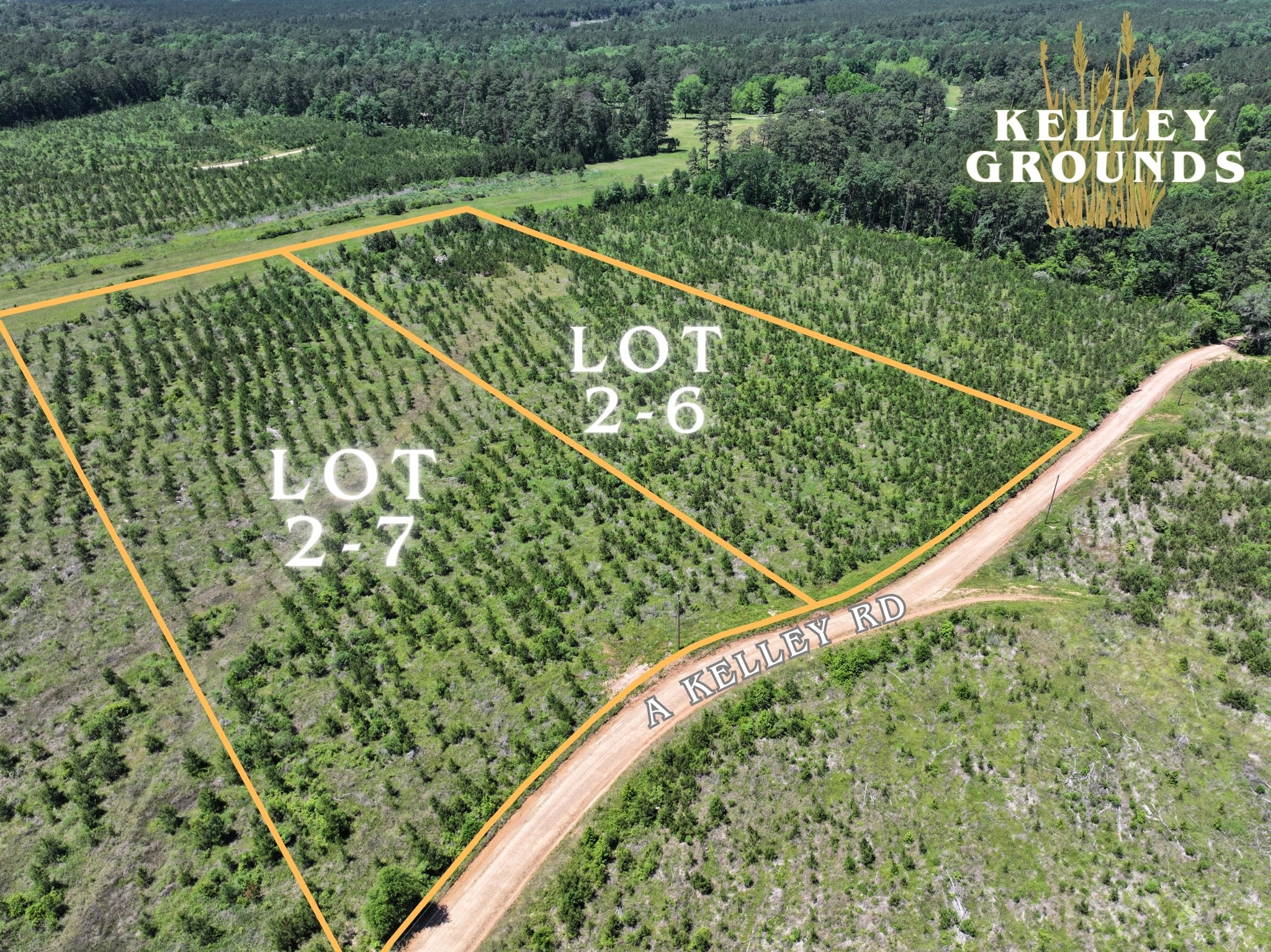2-2 L L Kelly Road Livingston, TX 77351 - Photo 15 of 23 Gallery Image 15