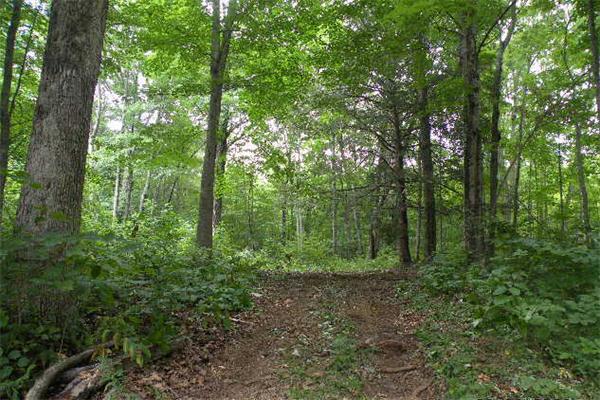 228 Arnold Road Sturbridge, MA 01518 - Photo 11 of 12