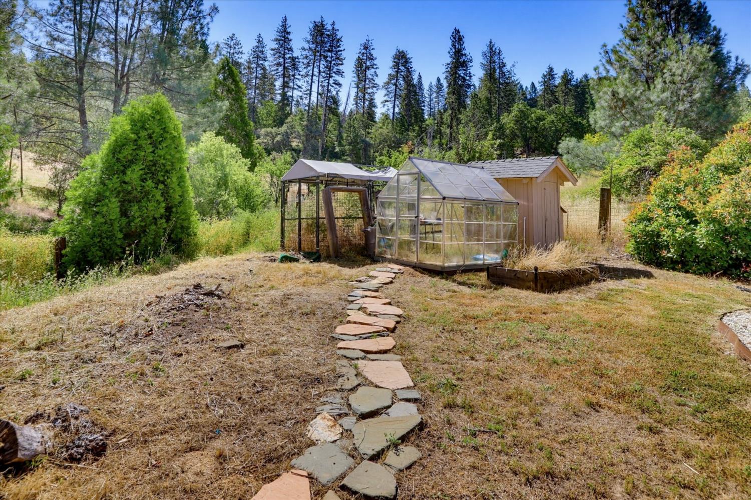 665 Gladycon Road Colfax, CA 95713 - Photo 29 of 57 Green house and dog run