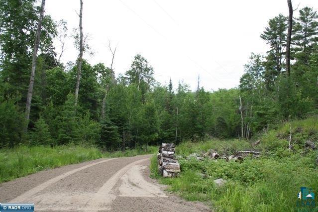 Tbd White Pine Road Cook, MN 55723 - Photo 4 of 9 Gallery Image 4