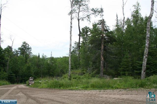 Tbd White Pine Road Cook, MN 55723 - Photo 5 of 9 Gallery Image 5