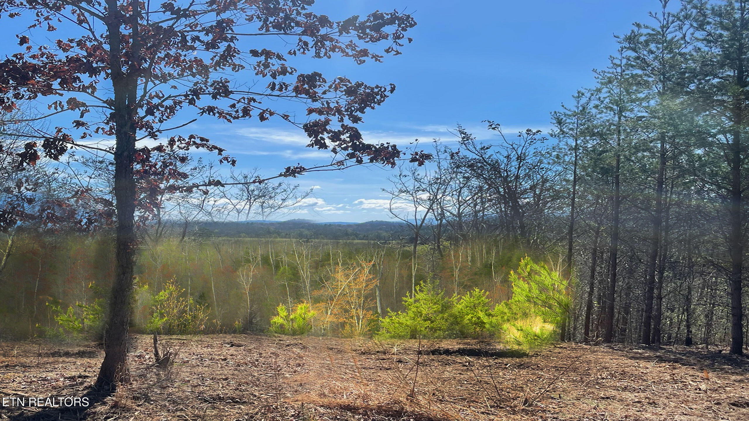 194 Forest Ridge Lane Greenback, TN 37742 - Photo 11 of 11 River-Cove-at-Lake-Tellico-Real-Estate-i