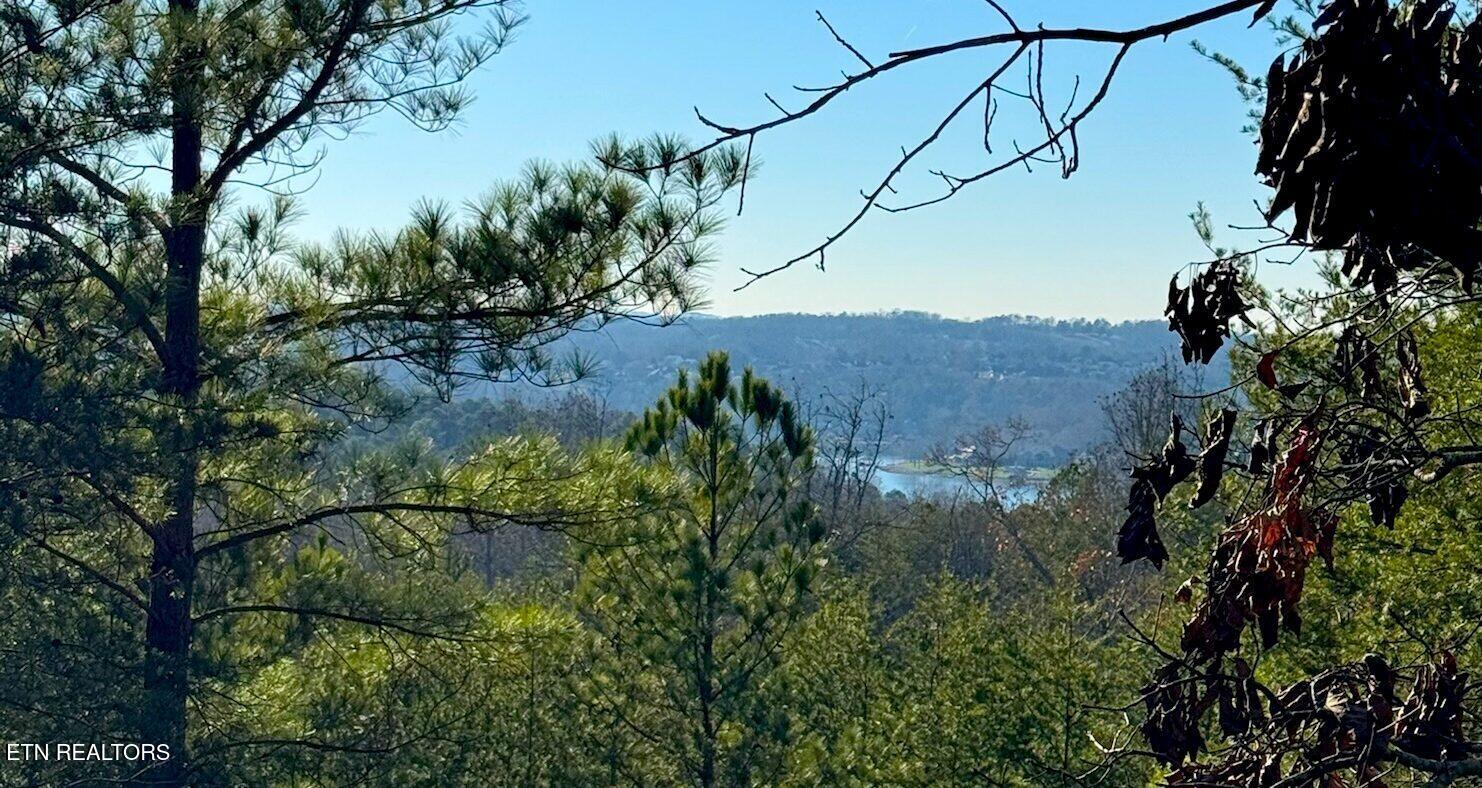 194 Forest Ridge Lane Greenback, TN 37742 - Photo 7 of 11 River-Cove-at-Lake-Tellico-Real-Estate-i