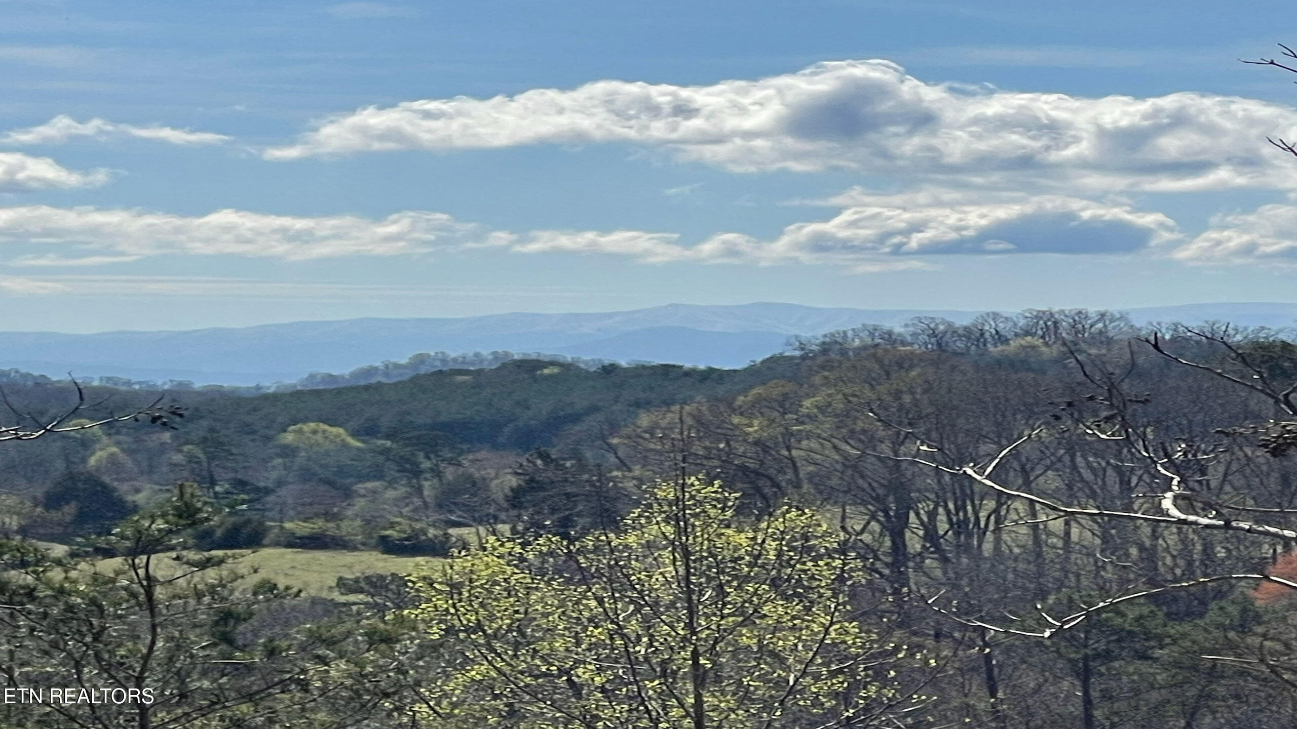 194 Forest Ridge Lane Greenback, TN 37742 - Photo 9 of 11 River-Cove-at-Lake-Tellico-Real-Estate-i