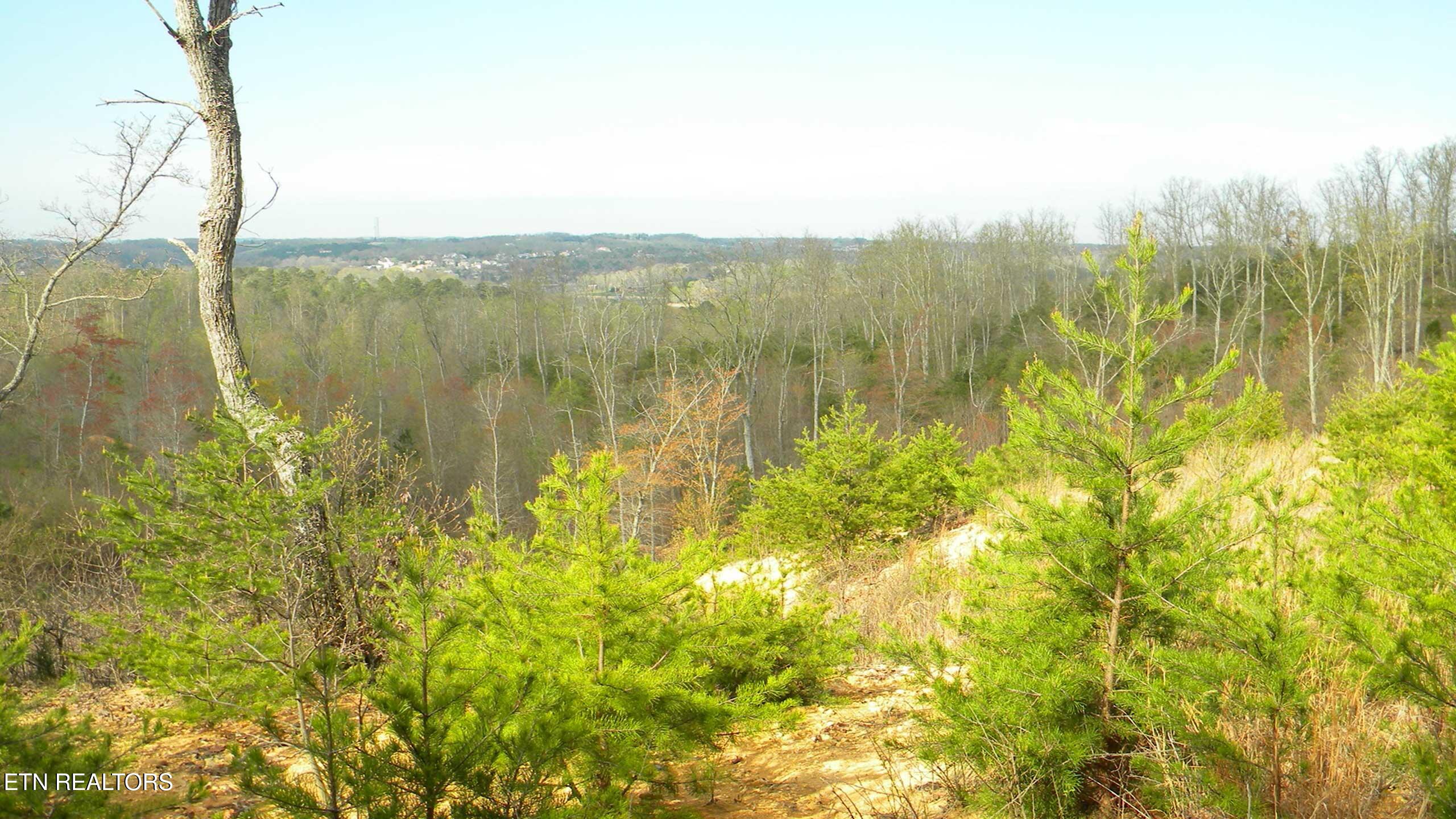 194 Forest Ridge Lane Greenback, TN 37742 - Photo 10 of 11 River-Cove-at-Lake-Tellico-Real-Estate-i