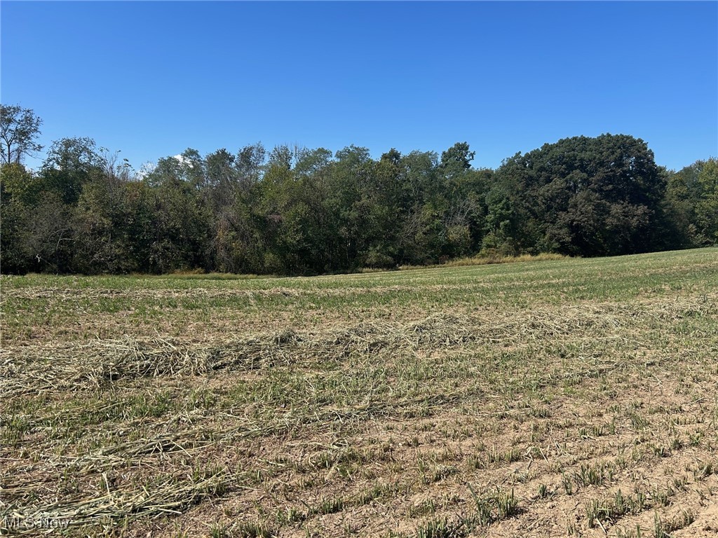 View of local wilderness featuring rural landscape