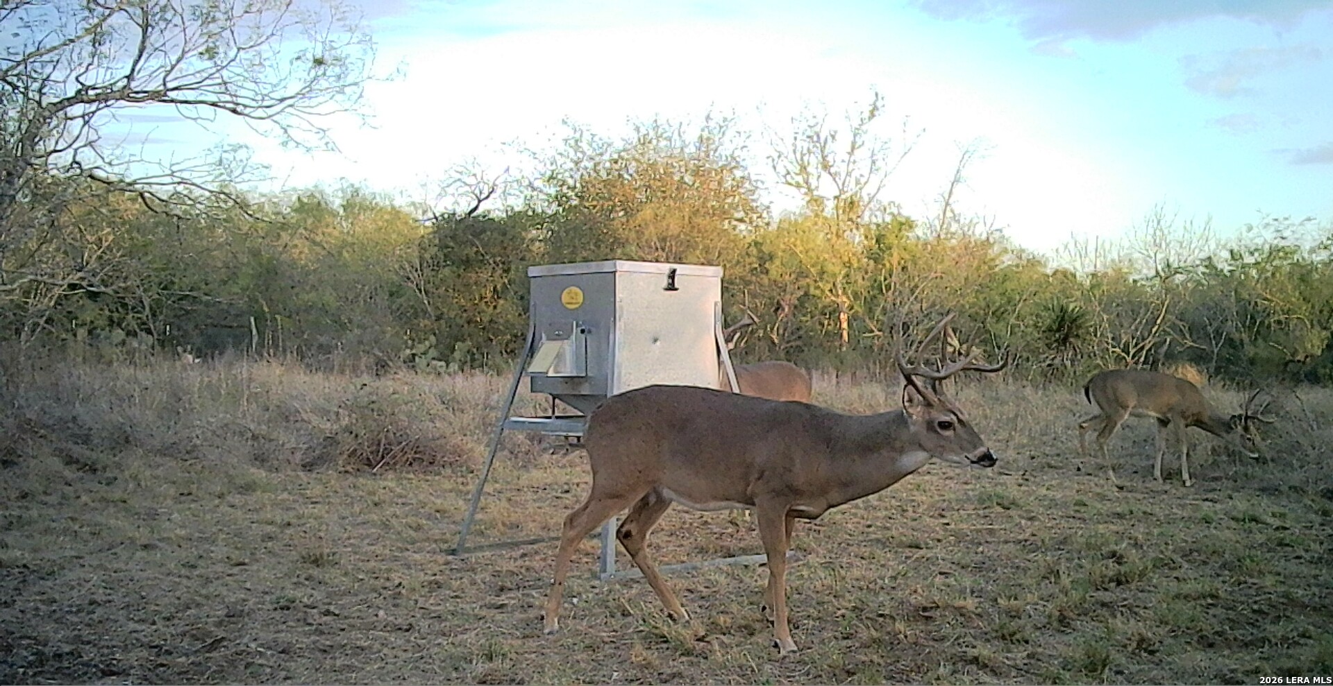 1393 Fox Trotter Road Seguin, TX 78155 - Photo 45 of 46