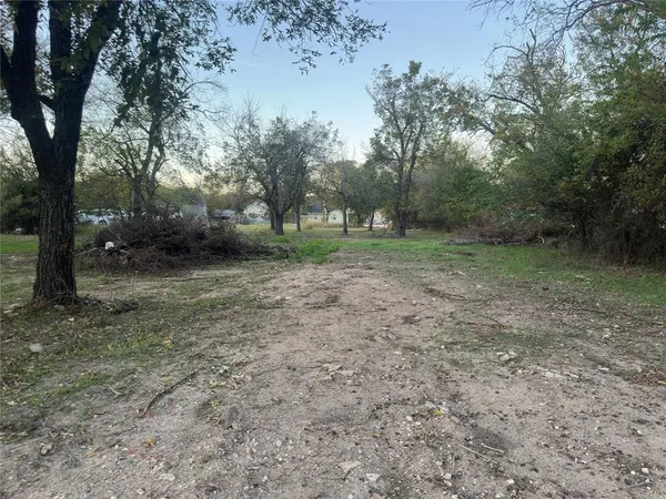 a view of a yard with a tree
