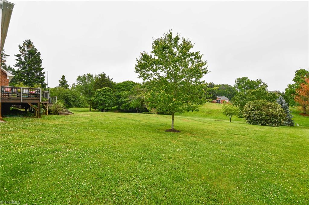 6104 Trotter Ridge Road Summerfield, NC 27358 - Photo 29 of 30