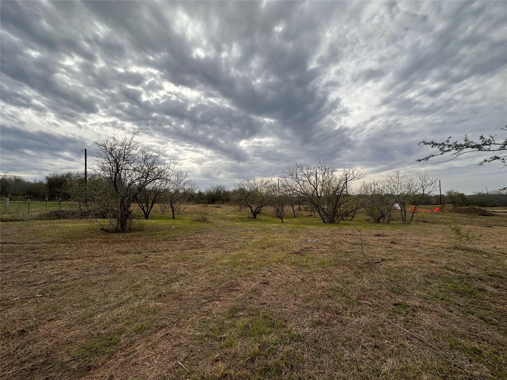 536 Tower Road Lockhart, TX 78644 - Photo 1 of 1 Gallery Image 1