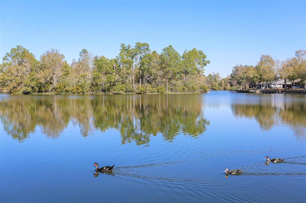 1717 Illinois Street Lake Charles, LA 70607 - Photo 5 of 30