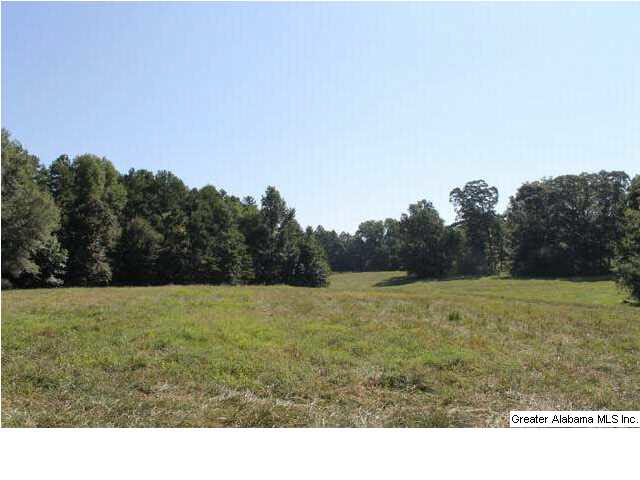 619 County Road, Unit 59 5AC Woodland, AL 36280 - Photo 1 of 13