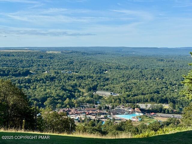 262 Overlook Way Tannersville, PA 18372 - Photo 73 of 82 Camelbeach resort