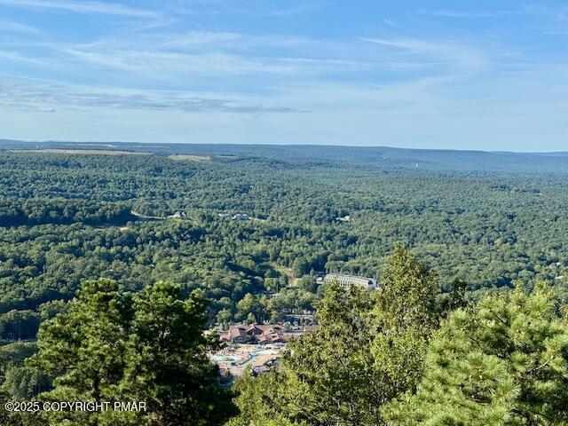 262 Overlook Way Tannersville, PA 18372 - Photo 74 of 82 IMG_9845