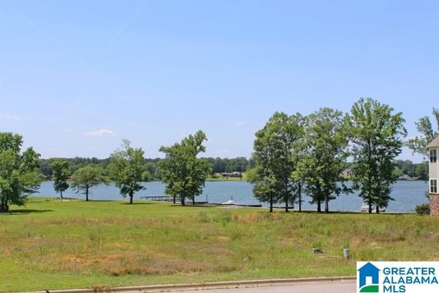 6187 Rainbow Row Pell City, AL 35128 - Photo 4 of 36