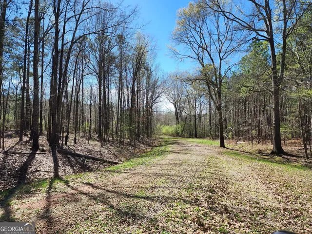 $170,500 | 0 Deer Ridge Drive, Hamilton, GA 31811