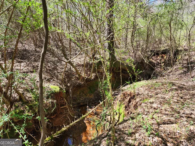 $170,500 | 0 Deer Ridge Drive, Hamilton, GA 31811