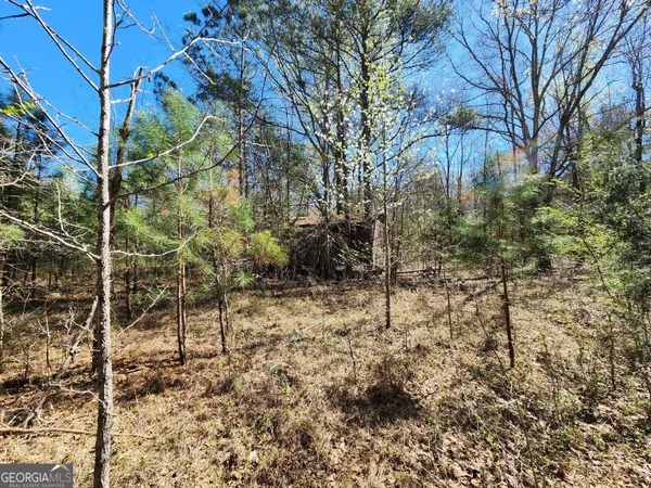 $170,500 | 0 Deer Ridge Drive, Hamilton, GA 31811