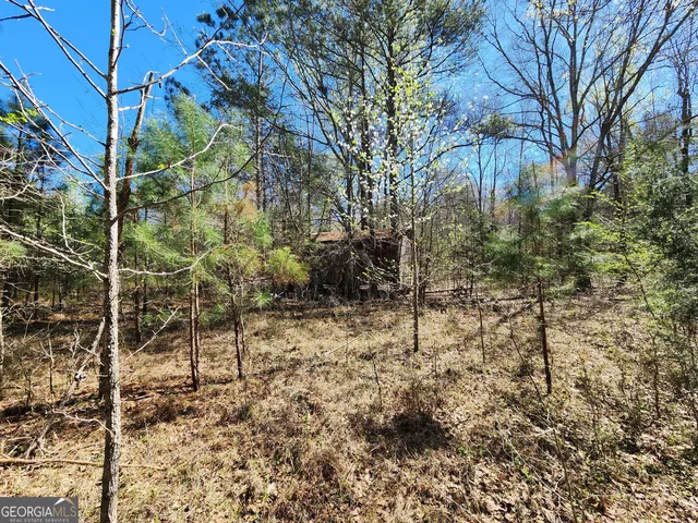 $170,500 | 0 Deer Ridge Drive, Hamilton, GA 31811