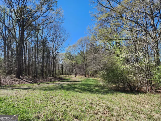 $170,500 | 0 Deer Ridge Drive, Hamilton, GA 31811