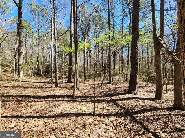 $170,500 | 0 Deer Ridge Drive, Hamilton, GA 31811