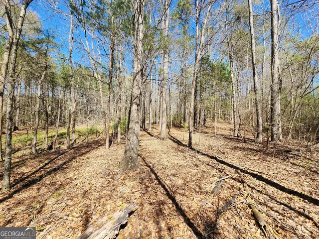 $170,500 | 0 Deer Ridge Drive, Hamilton, GA 31811