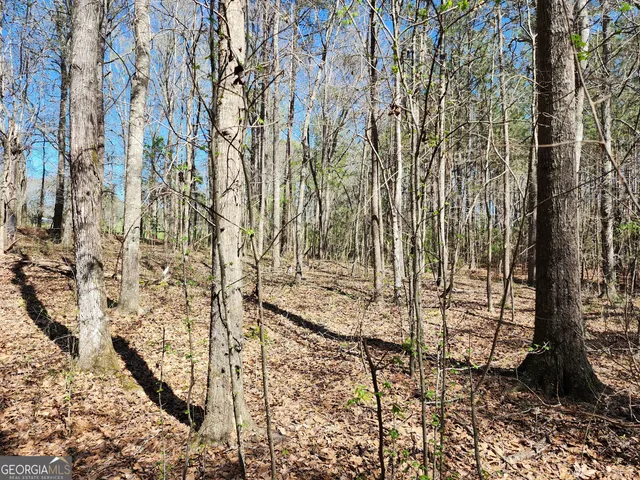 $170,500 | 0 Deer Ridge Drive, Hamilton, GA 31811