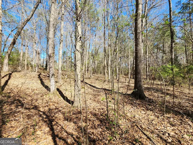 $170,500 | 0 Deer Ridge Drive, Hamilton, GA 31811