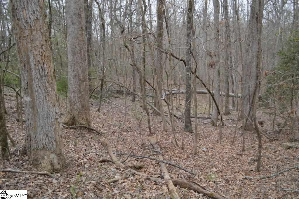 2019 Mt Vernon Church Road Iva, SC 29655 - Photo 2 of 26 Gallery Image 2