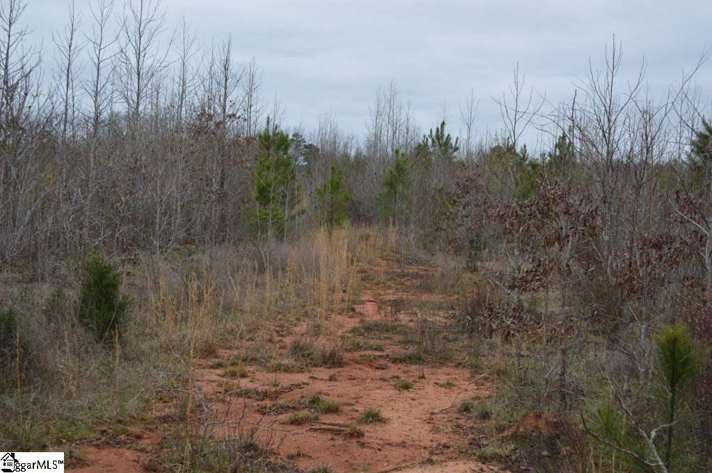 2019 Mt Vernon Church Road Iva, SC 29655 - Photo 11 of 26 Gallery Image 11