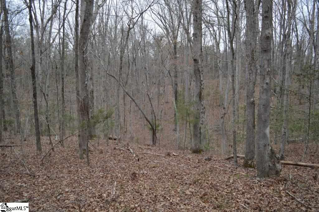 2019 Mt Vernon Church Road Iva, SC 29655 - Photo 12 of 26 Gallery Image 12