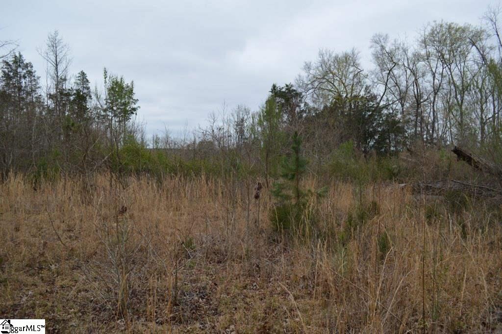 2019 Mt Vernon Church Road Iva, SC 29655 - Photo 13 of 26 Gallery Image 13