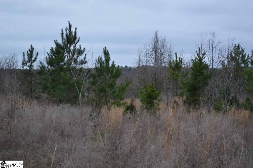 2019 Mt Vernon Church Road Iva, SC 29655 - Photo 16 of 26 Gallery Image 16